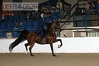 08r14-0526 proof