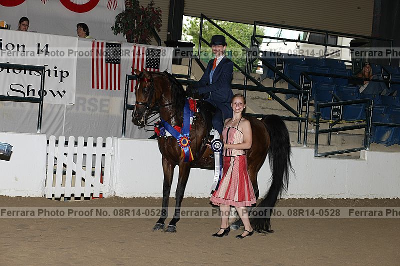 Proof 08r14-0528