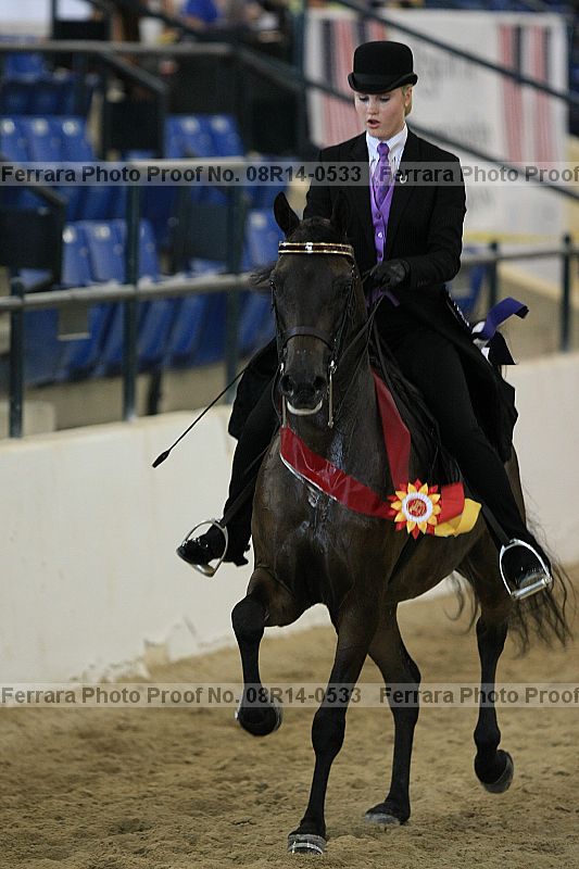 Proof 08r14-0533