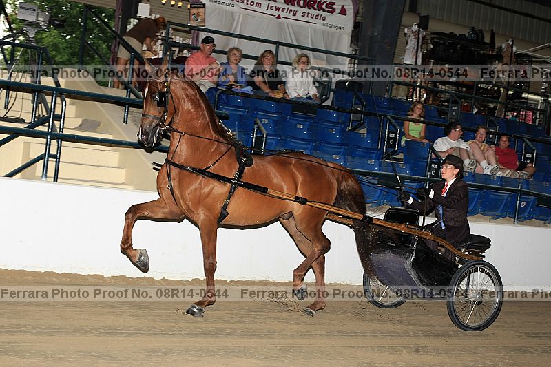 Proof 08r14-0544