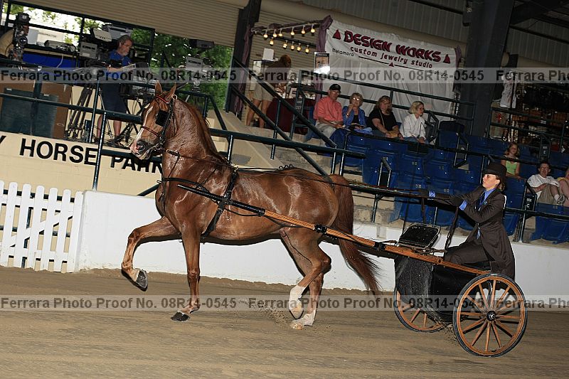 Proof 08r14-0545