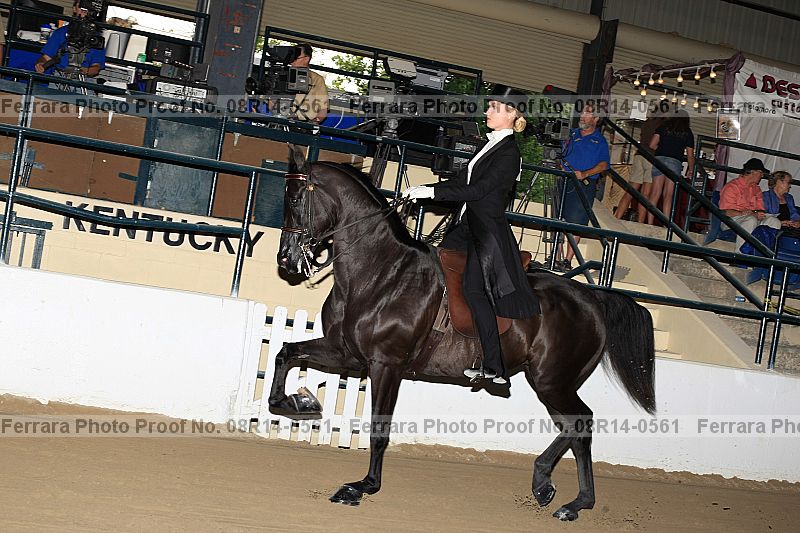 Proof 08r14-0561