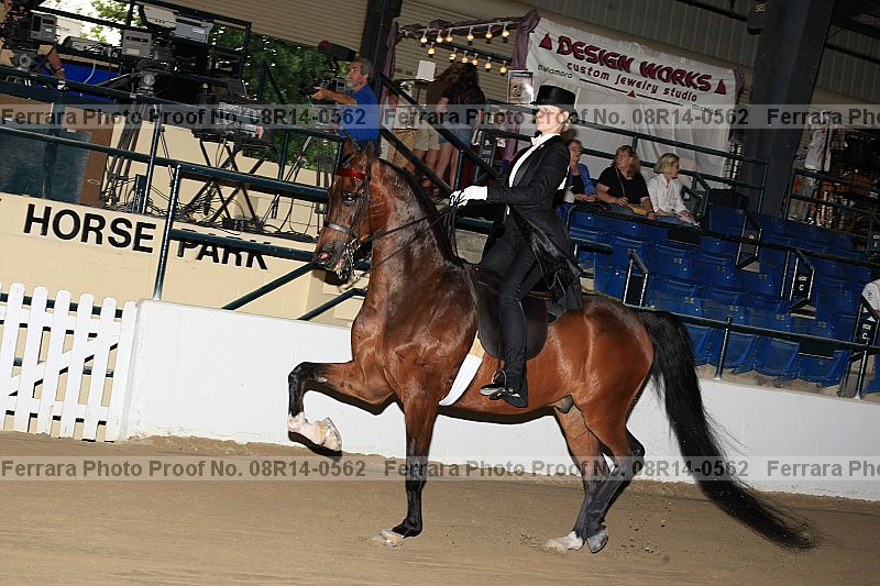 Proof 08r14-0562