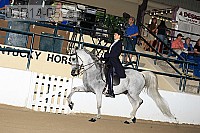 08r14-0563 proof