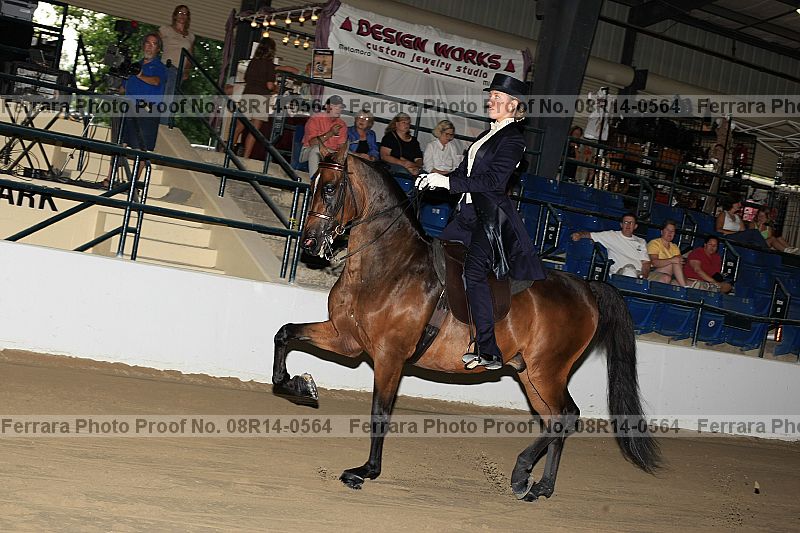 Proof 08r14-0564
