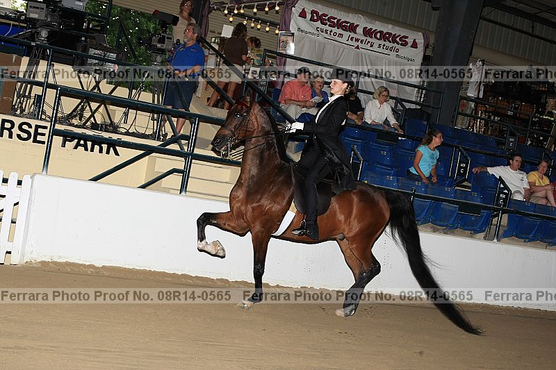 Proof 08r14-0565