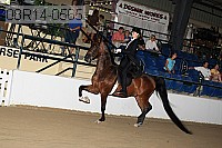 08r14-0565 proof