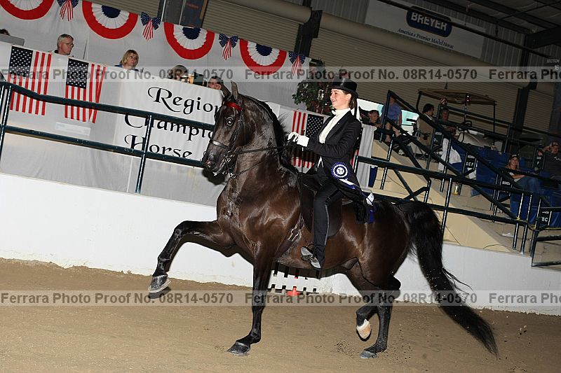 Proof 08r14-0570
