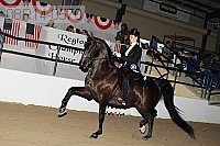 08r14-0570 proof