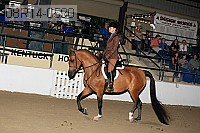 08r14-0590 proof
