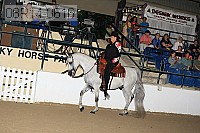 08r14-0616 proof