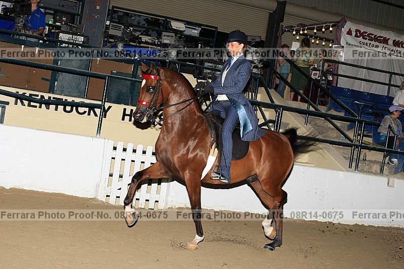 Proof 08r14-0675
