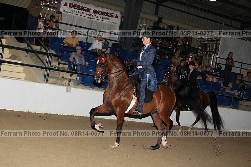 Proof 08r14-0677