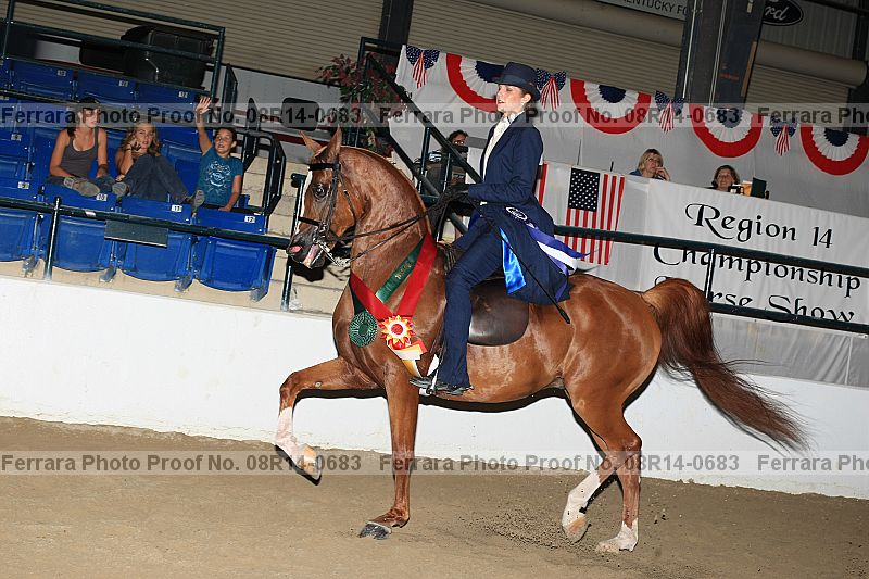 Proof 08r14-0683