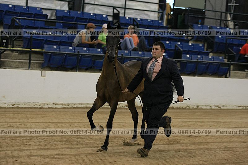 Proof 08r14-0709