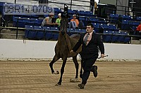 08r14-0709 proof