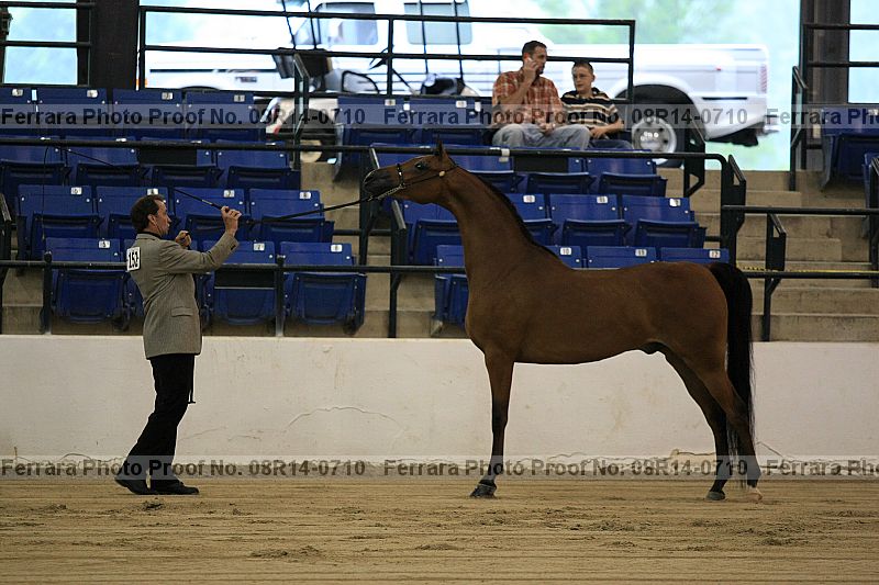 Proof 08r14-0710