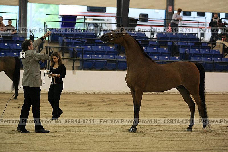 Proof 08r14-0711