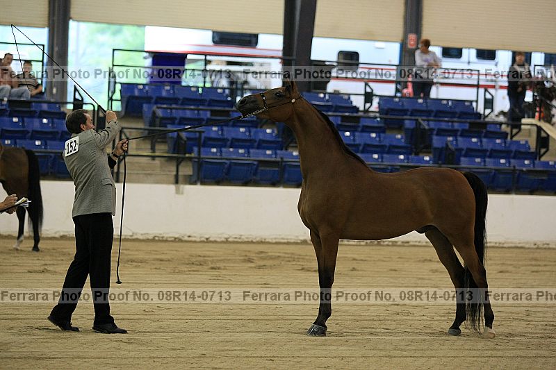 Proof 08r14-0713