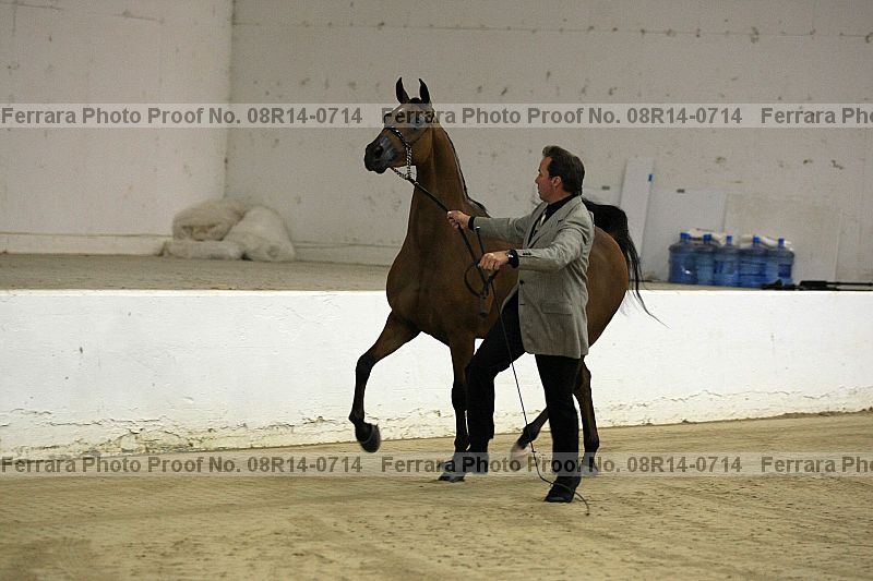 Proof 08r14-0714