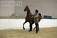 08r14-0714 proof