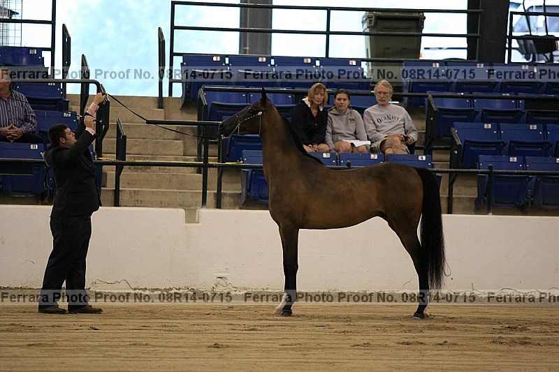 Proof 08r14-0715