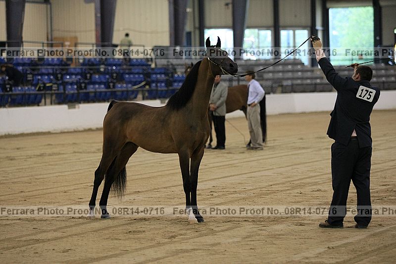 Proof 08r14-0716
