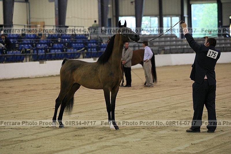 Proof 08r14-0717