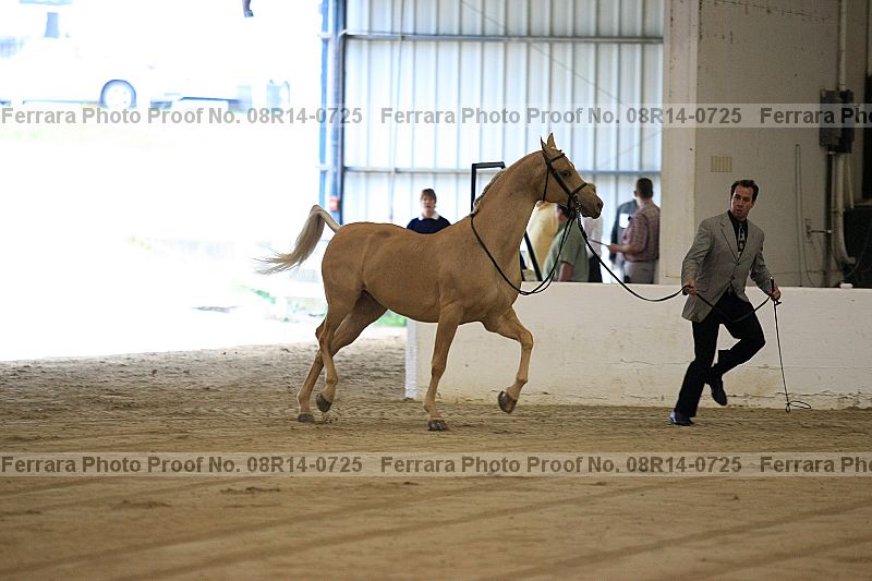 Proof 08r14-0725