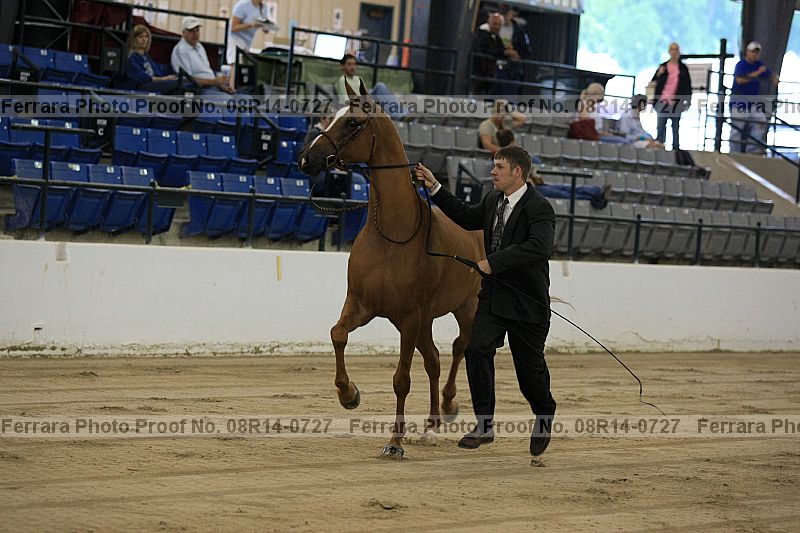 Proof 08r14-0727