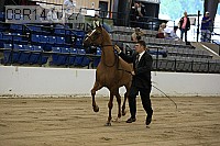 08r14-0727 proof