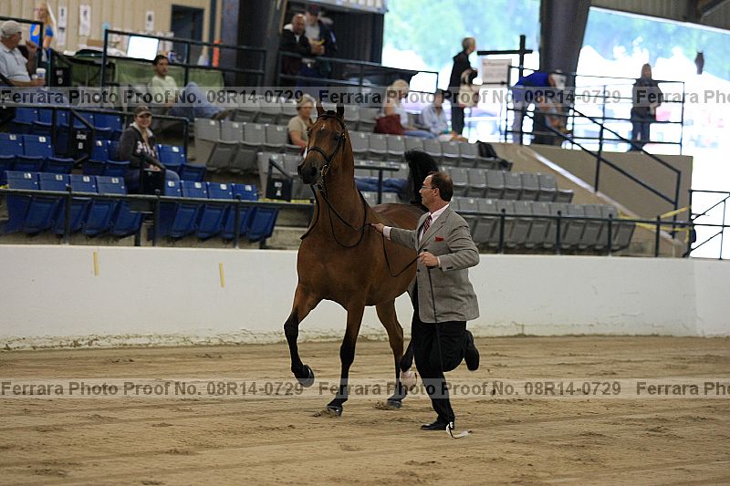 Proof 08r14-0729