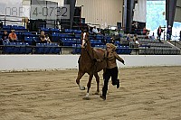 08r14-0732 proof