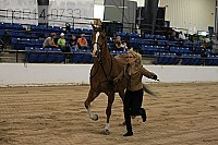 08r14-0733 proof