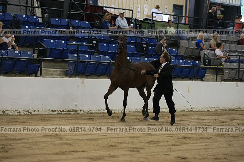 Proof 08r14-0734