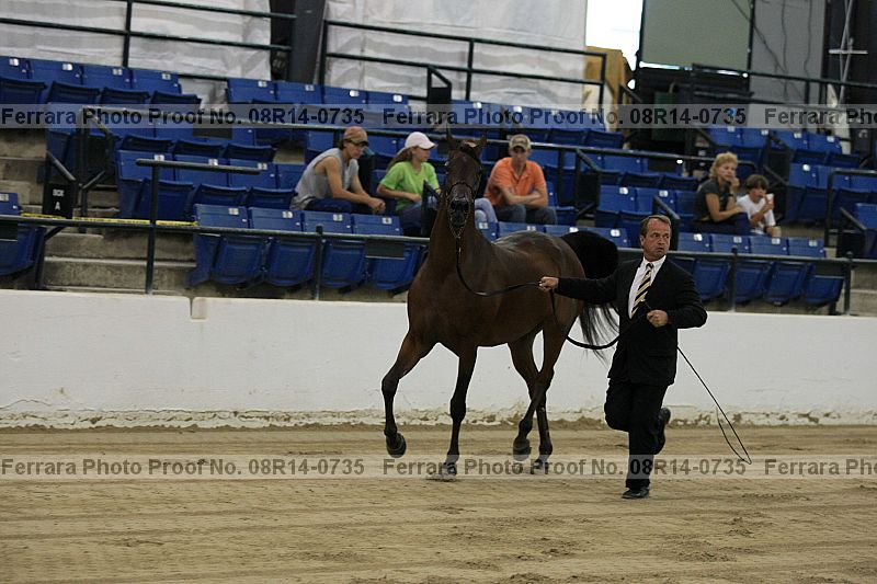 Proof 08r14-0735
