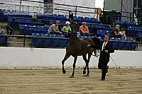 08r14-0735 proof