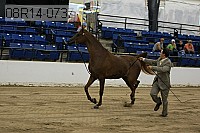 08r14-0737 proof