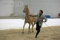 08r14-0742 proof