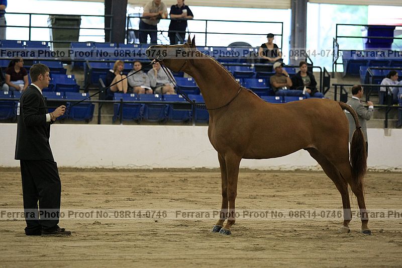 Proof 08r14-0746