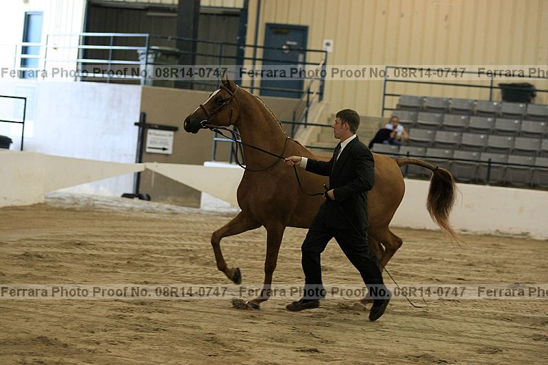 Proof 08r14-0747