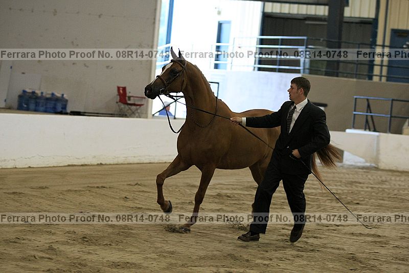 Proof 08r14-0748