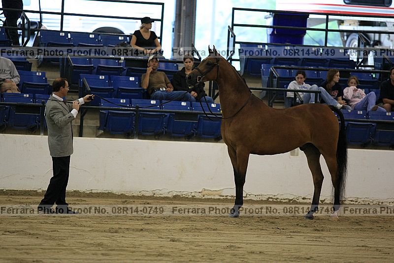 Proof 08r14-0749