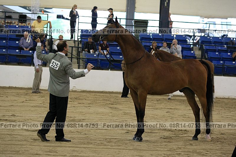 Proof 08r14-0753