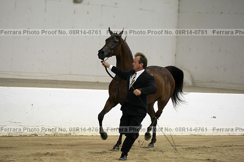 Proof 08r14-0761