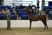 08r14-0762 proof