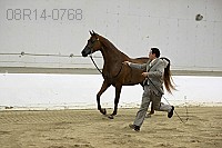 08r14-0768 proof