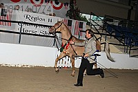 08r14-0774 proof