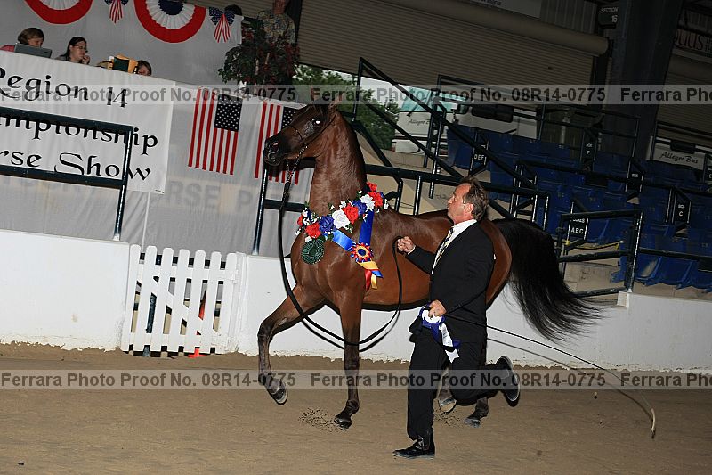 Proof 08r14-0775