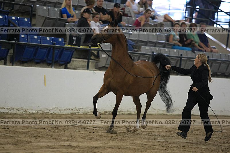 Proof 08r14-0777